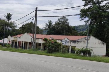 Tras, Raub, Bentong, Pahang Durian Orchards For Sale