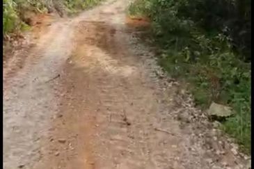 Freehold Agri land for sale@ At daerah Jelebu, Mukim Ulu Triang, N. Sembilan