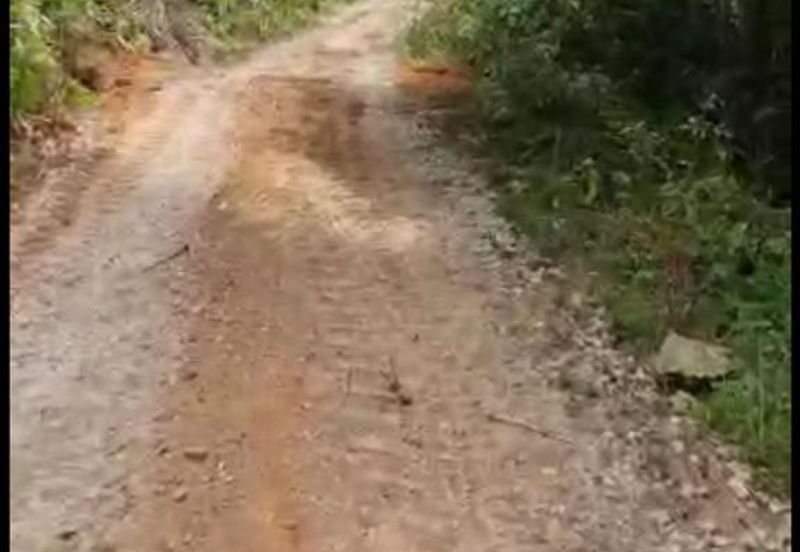 Freehold Agri land for sale@ At daerah Jelebu, Mukim Ulu Triang, N. Sembilan