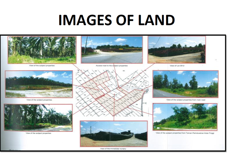 DEVELOPMENT LAND, KOTA TINNGI, JOHOR FOR SALE
