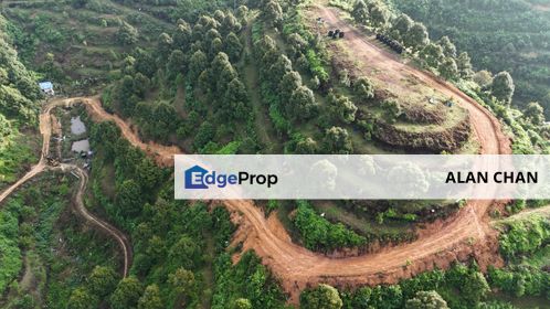  Pahang, Bentong Durian Plantation For Sale | 彭亨文冬榴莲果园出售, Pahang, Bentong