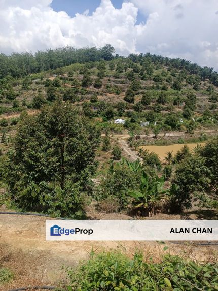 Durian Plantation Land for Sale — Seremban Jelebu, Negeri Sembilan, Negeri Sembilan, Seremban