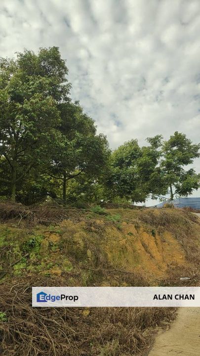 Durian Plantation Farm for Sale – Seremban, Jelebu, Negeri Sembilan, Seremban