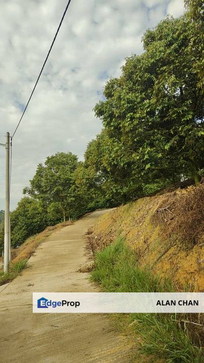 Durian Plantation Farm for Sale – Seremban, Jelebu, Negeri Sembilan, Seremban