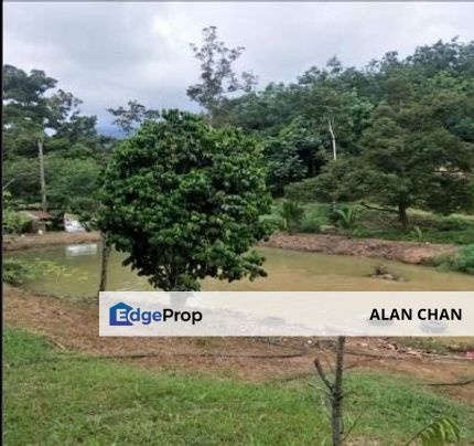 6 acre FREEHOLD Durian Orchard, Bentong, Pahang, Bentong
