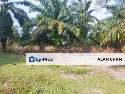 2.687 acre at Jugra,  Banting, Selangor., Selangor, Banting