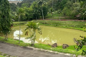 BENTONG TO KL OLD ROAD, BENTONG@Agri Land for Camping ,Durian Farm, Weekend Home, Resort, Bentong