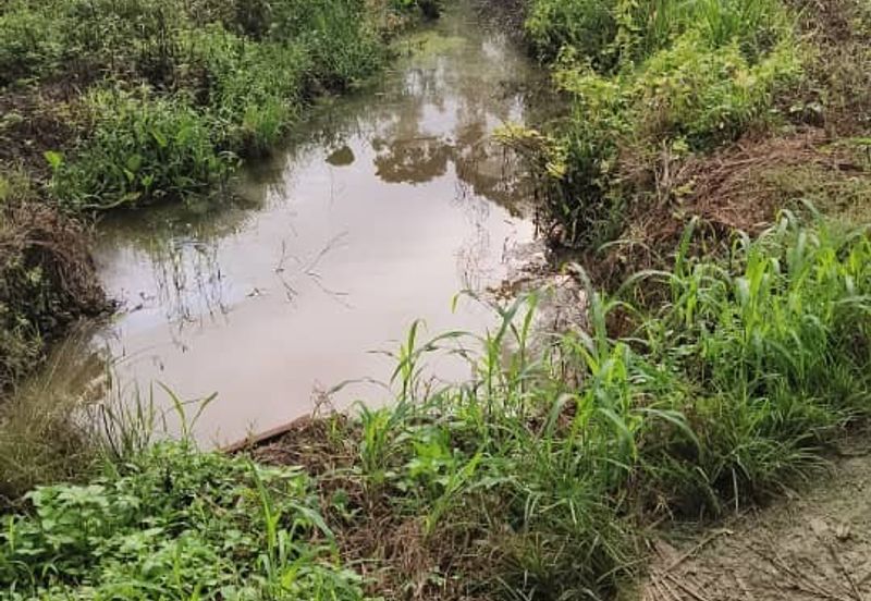 Durian Farm at Raub, Sungei Ruan For Sale