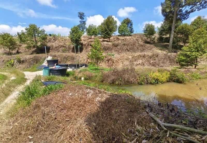 Durian Farm at Raub, Sungei Ruan For Sale