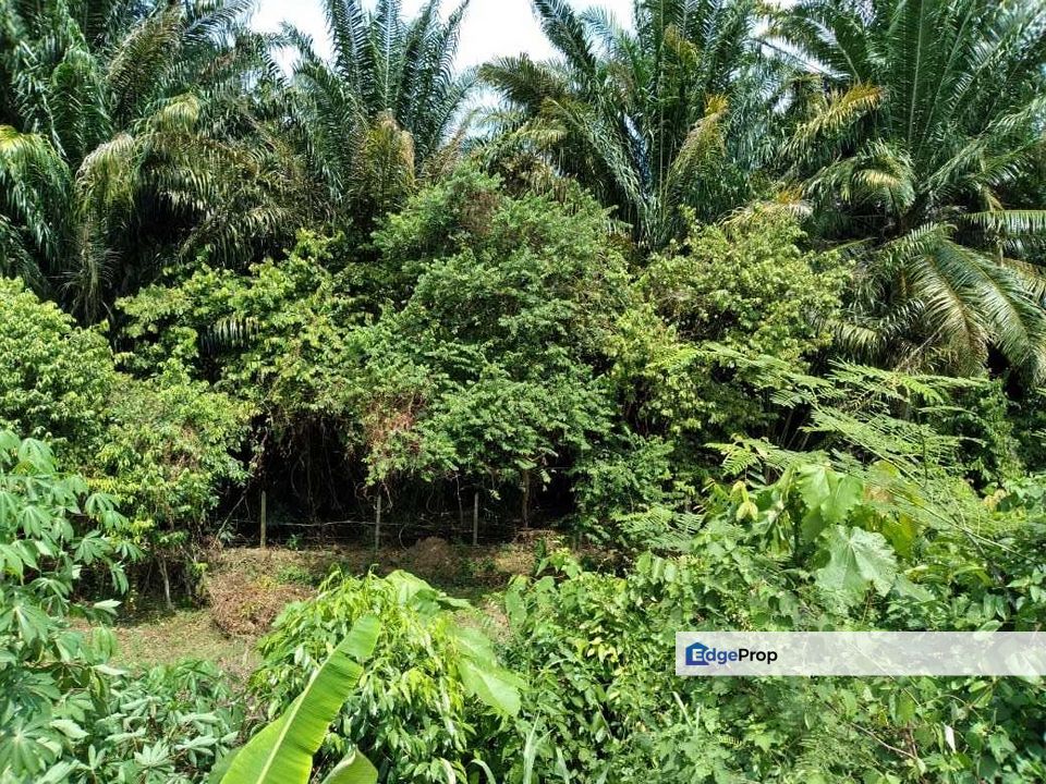 RESIDENTIAL BUNGALOW LAND TMN PASIR MAS RANTAU, Negeri Sembilan, Rantau