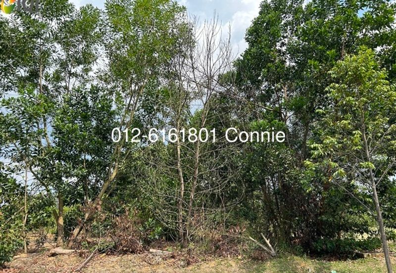 GREEN STREET HOMES (SEREMBAN 2)