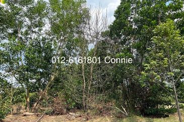 GREEN STREET HOMES (SEREMBAN 2)