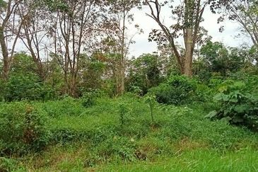 COLLEGE HEIGHTS GARDEN RESORT (PAJAM)