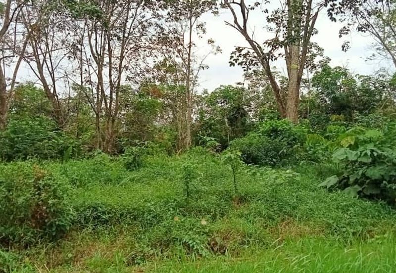 COLLEGE HEIGHTS GARDEN RESORT (PAJAM)