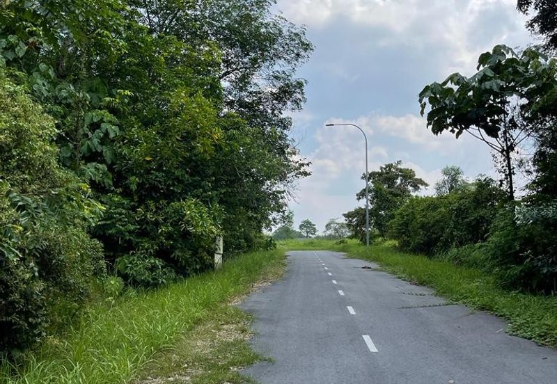 COLLEGE HEIGHTS GARDEN RESORT (PAJAM)