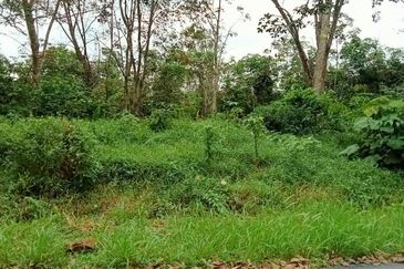 COLLEGE HEIGHTS GARDEN RESORT (PAJAM)