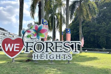 Forest Heights