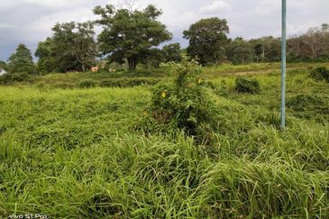 COLLEGE HEIGHTS GARDEN RESORT (PAJAM)