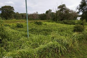 COLLEGE HEIGHTS GARDEN RESORT (PAJAM)