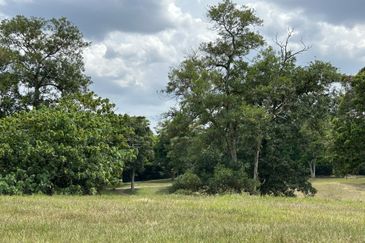 Staffield Country Resort