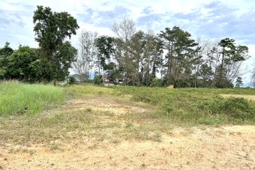 Staffield Country Resort