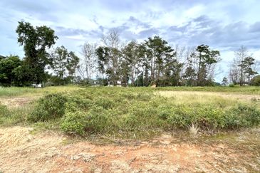 Staffield Country Resort