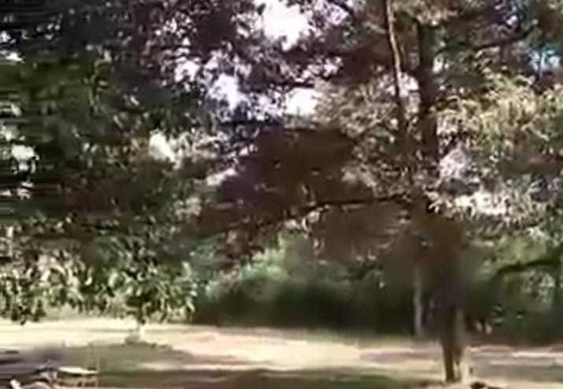 Kampung Sungai Sekamat