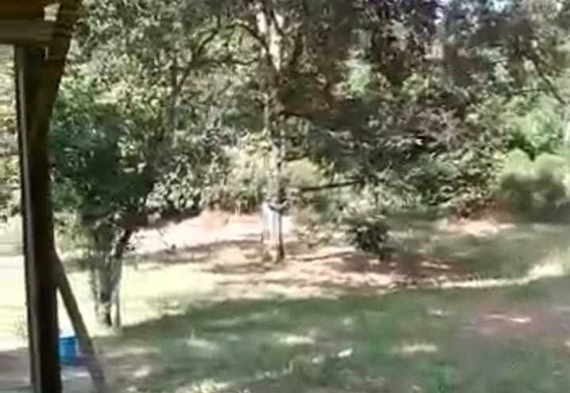 Kampung Sungai Sekamat