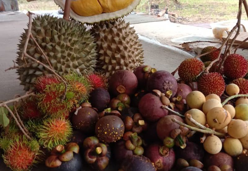 Kampung Sungai Sekamat