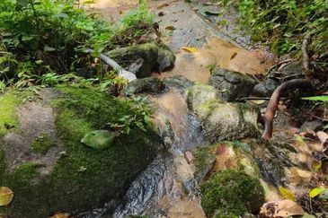 SERI MENANTI KUALA PILAH TANAH PERTANIAN