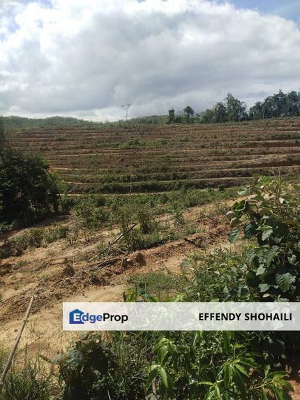 KEPIS HILIR KUALA PILAH AGRICULTURAL LAND, Negeri Sembilan, Kuala Pilah