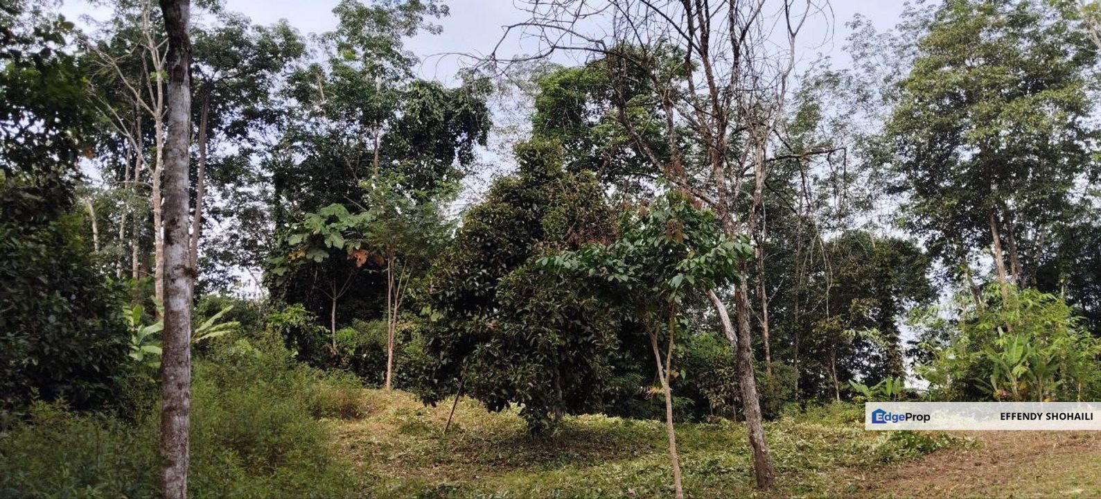 HULU LANGAT JALAN GENTING PERAS TANAH PERTANIAN, Selangor, Hulu Langat