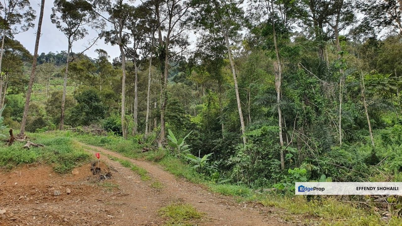 BENTONG JALAN TRAS TANAH PERTANIAN, Pahang, Bentong
