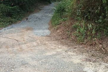 Kampung Sungai Pening