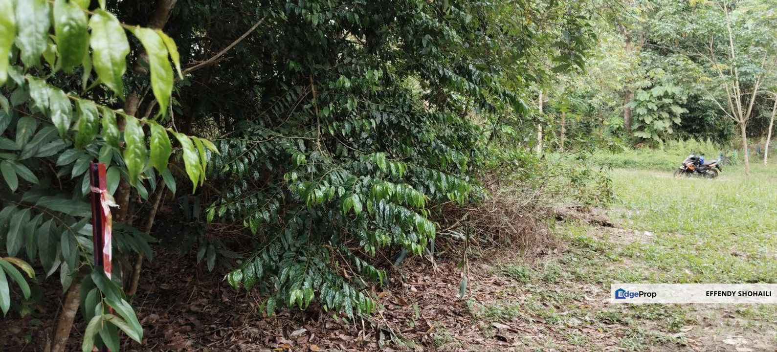 SEMENYIH SUNGAI PENING TANAH PERTANIAN, Selangor, Semenyih