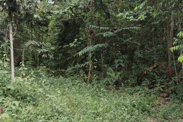 Kampung Sungai Pening