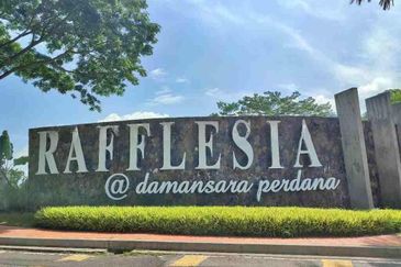 Rafflesia @ The Hill