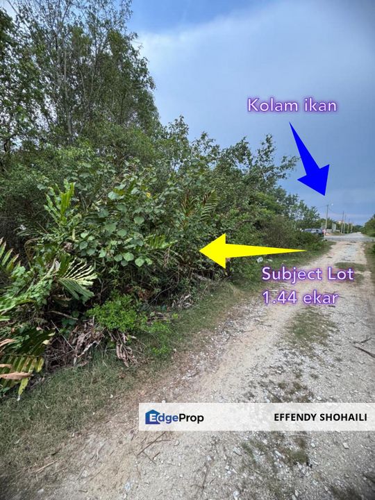 SUNGAI JANGGUT JERAM KUALA SELANGOR TANAH PERTANIAN, Selangor, Kuala Selangor