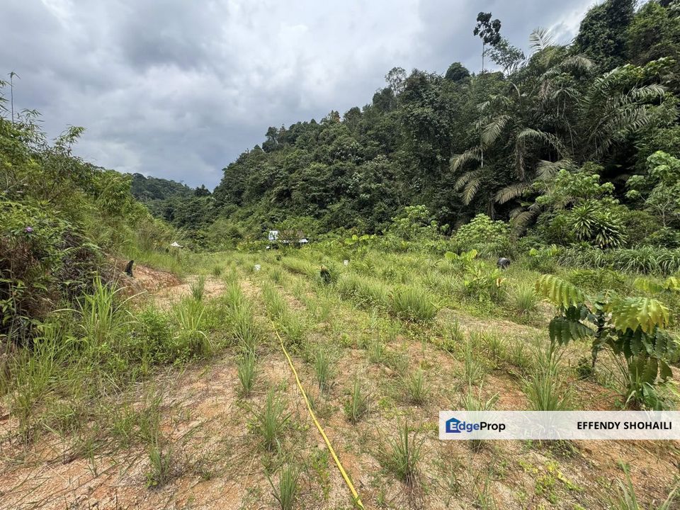 SUNGAI LONG HULU LANGAT TANAH PERTANIAN, Selangor, Cheras