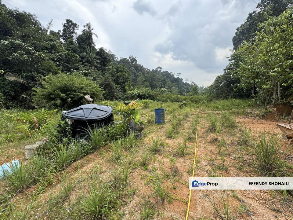 SUNGAI LONG HULU LANGAT TANAH PERTANIAN, Selangor, Cheras