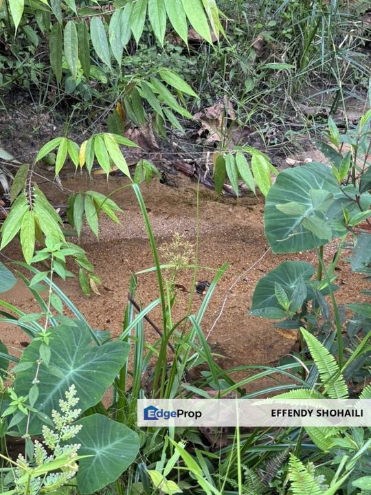 SUNGAI LONG HULU LANGAT TANAH PERTANIAN, Selangor, Cheras