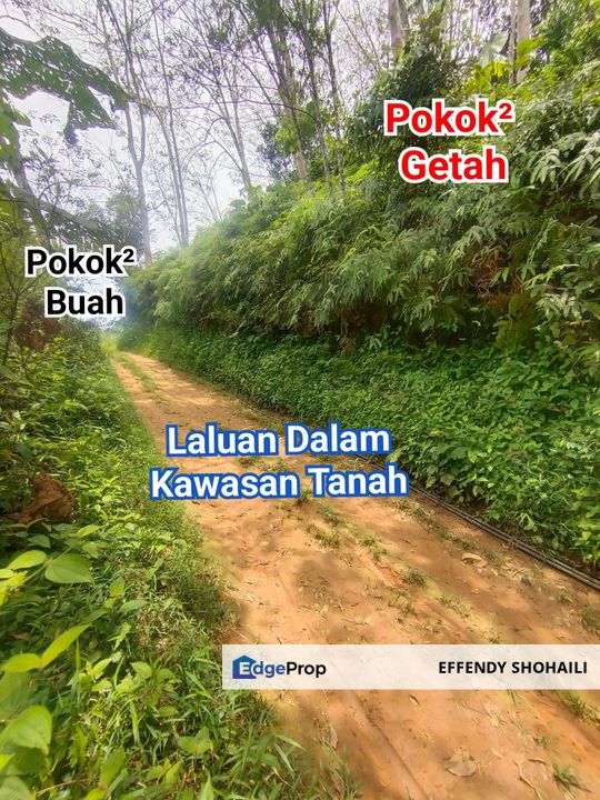 SUNGAI LUI HULU LANGAT TANAH PERTANIAN, Selangor, Hulu Langat