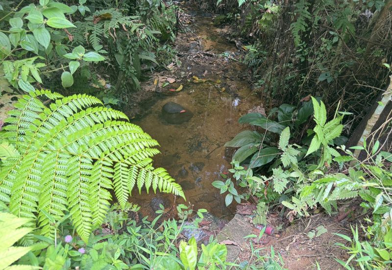 Pekan Ulu Yam (Lama)