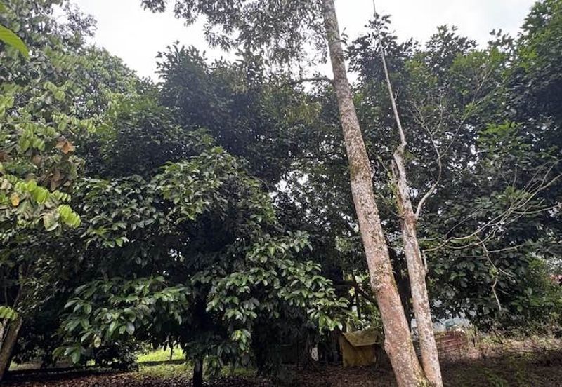 Kampung Pasir, Ulu Yam