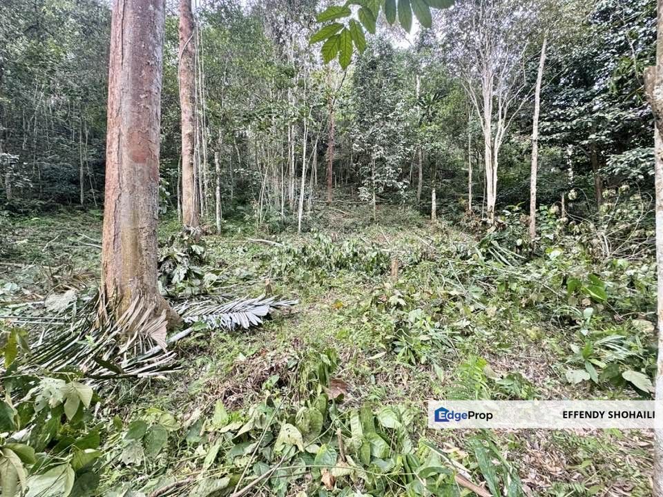 SUNGAI LUI HULU LANGAT TANAH PERTANIAN, Selangor, Hulu Langat