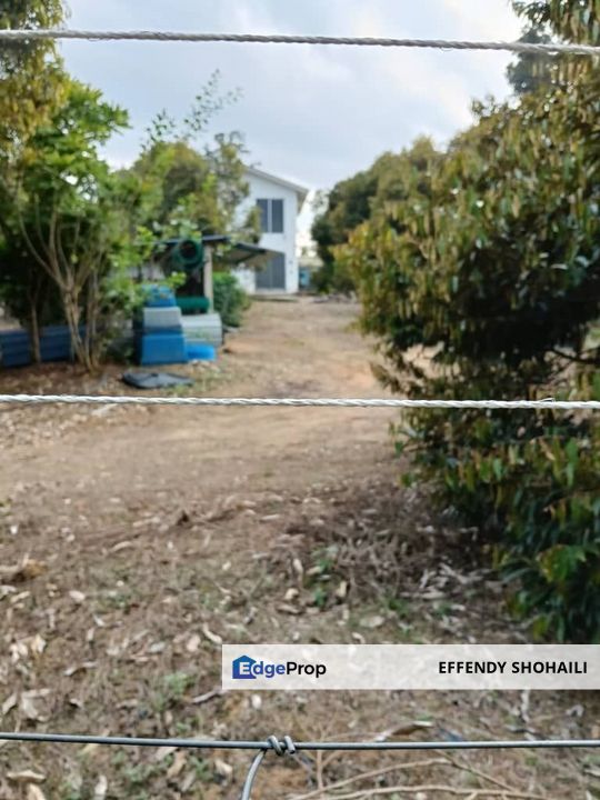 KUALA KLAWANG PERADONG TANAH PERTANIAN, Negeri Sembilan, Jelebu