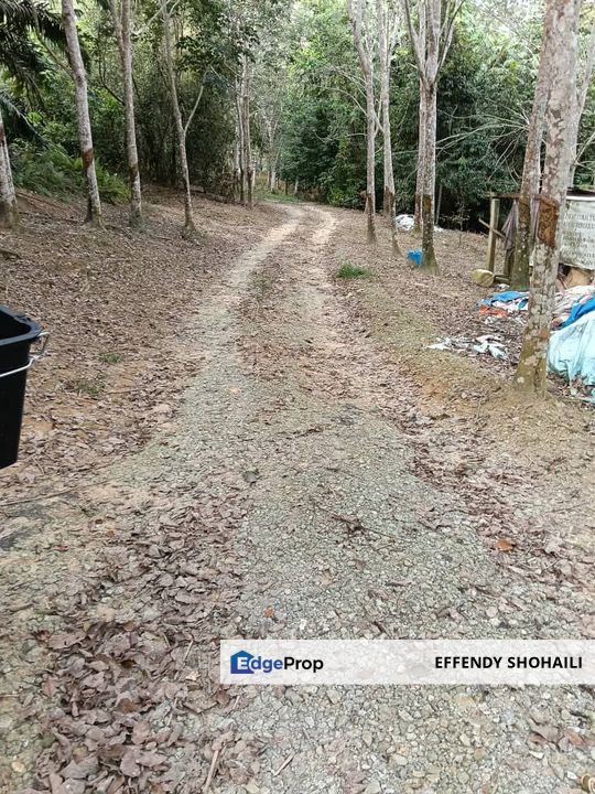 KUALA KLAWANG PERADONG TANAH PERTANIAN, Negeri Sembilan, Jelebu