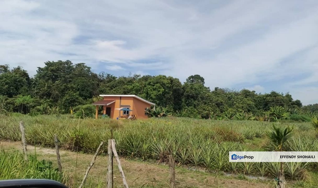 BENTONG SABAI AGRICULTURAL LAND, Pahang, Bentong