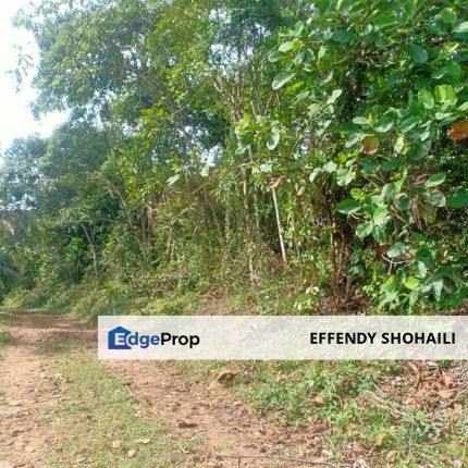 ULU YAM SUNGAI PEDANG TANAH PERTANIAN, Selangor, Batang Kali