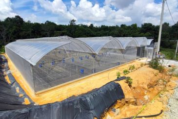 Bandar Baru Salak Tinggi